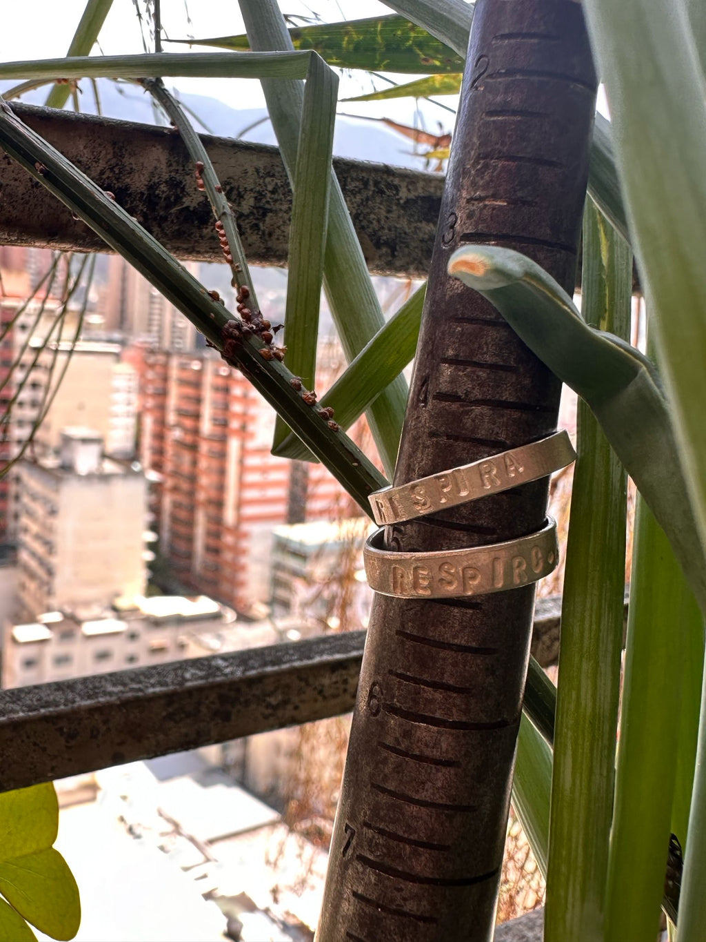 Taller - Haz tu anillo conmigo!