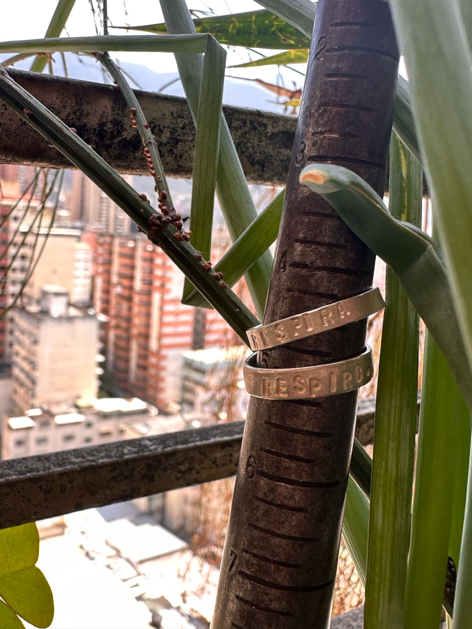 Taller - Haz tu anillo conmigo!