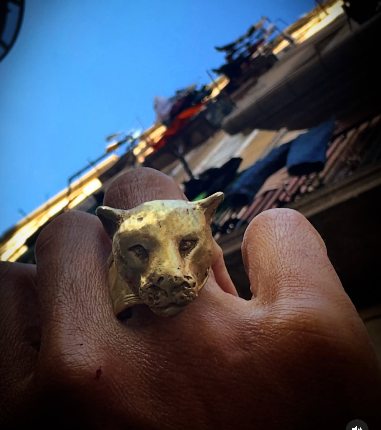 Anillo “TIGRA” dorada
