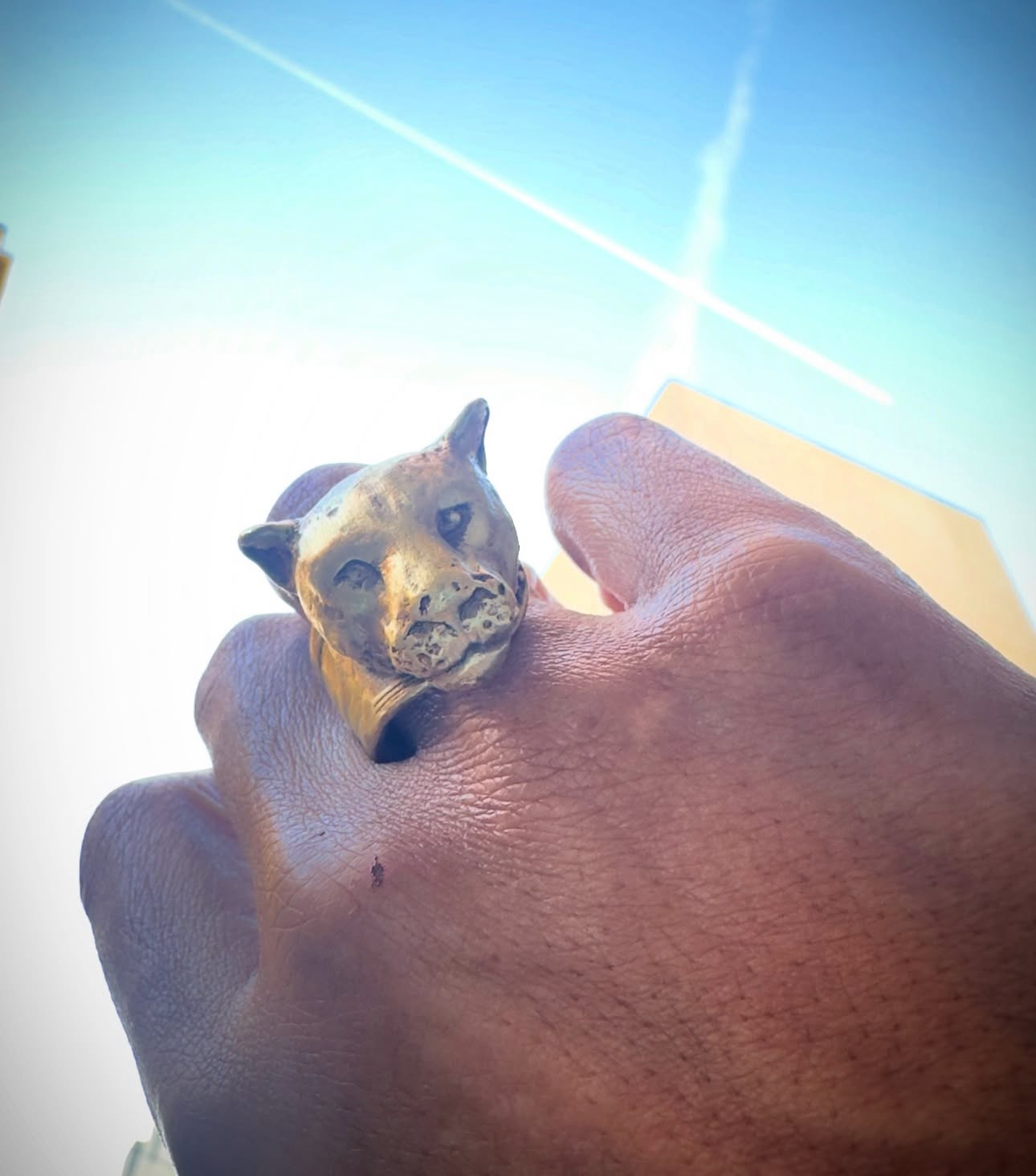 Anillo “TIGRA” dorada