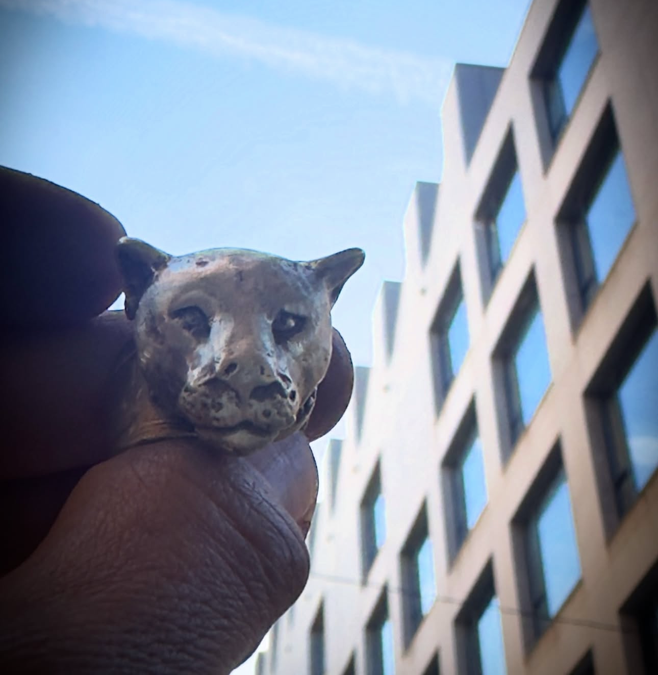 Anillo “TIGRA” dorada