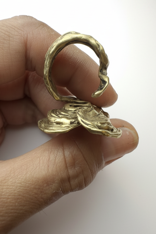 Anillo Olas maravillosas.