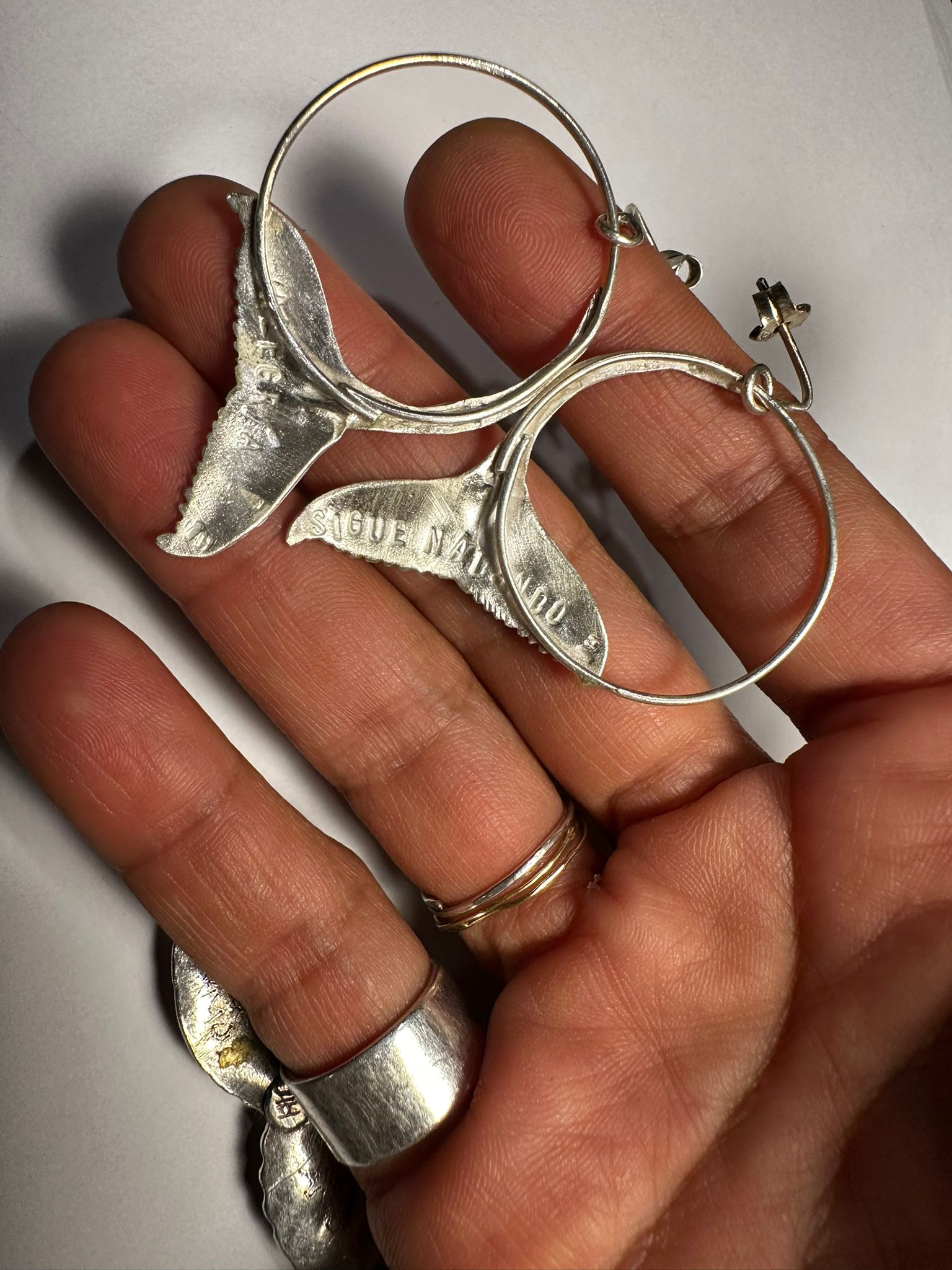 Pendientes SIGUE NADANDO