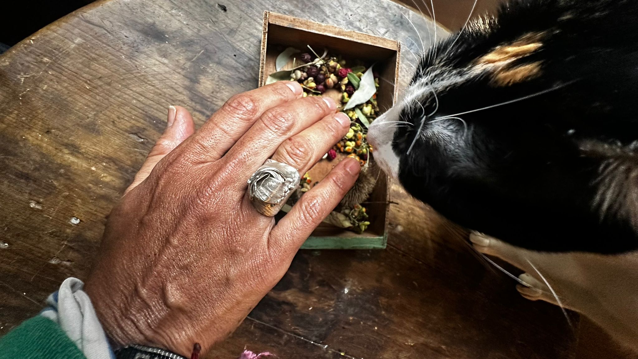 Anillo Guggenheim de Bilbao