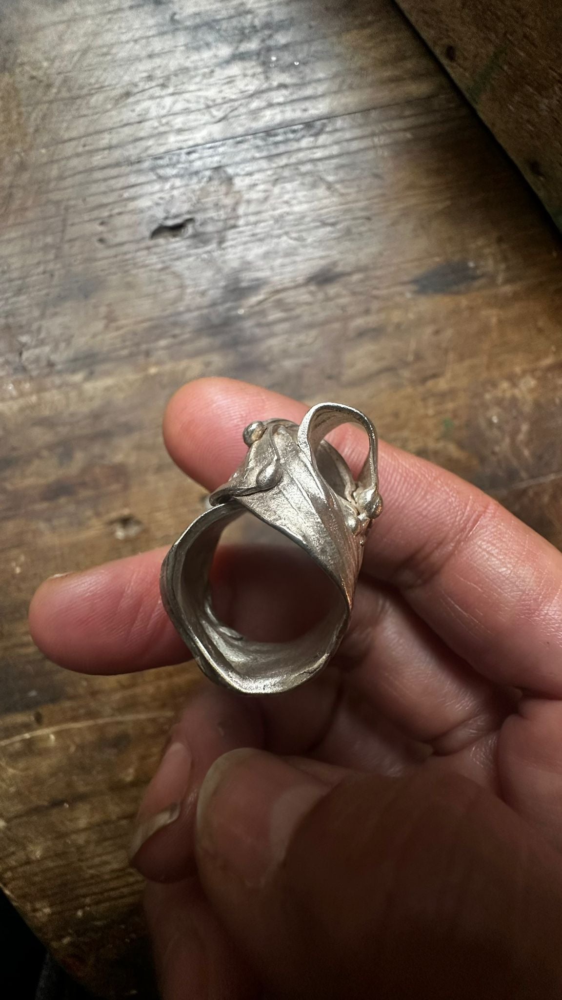 Anillo Guggenheim de Bilbao